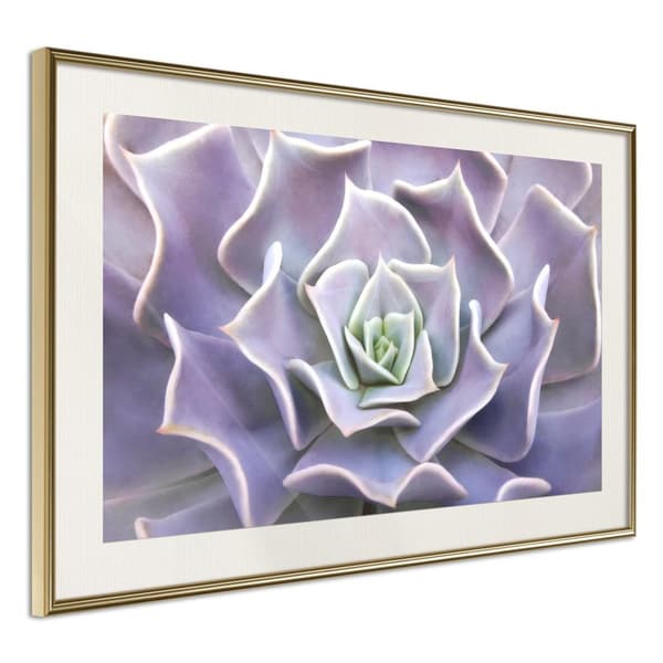 Inramad Poster / Tavla - Like a Flower