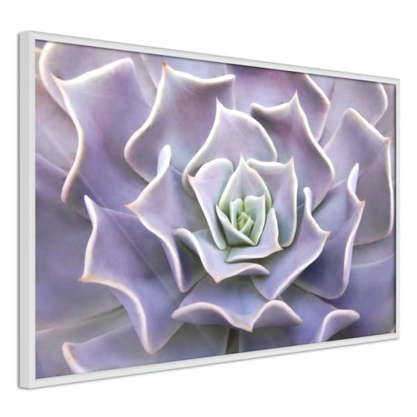 Inramad Poster / Tavla - Like a Flower Vit ram 60x40