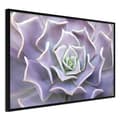 Miniatyrbild 1 av 11: Inramad Poster / Tavla - Like a Flower