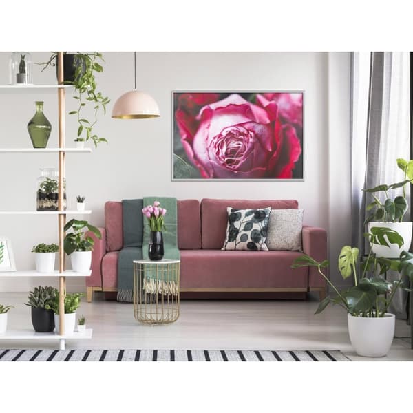 Inramad Poster / Tavla - Blooming Rose