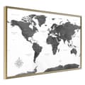 Miniatyrbild 1 av 11: Inramad Poster / Tavla - The World in Black and White