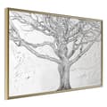 Miniatyrbild 1 av 11: Inramad Poster / Tavla - Tangled Branches