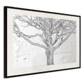 Miniatyrbild 3 av 11: Inramad Poster / Tavla - Tangled Branches