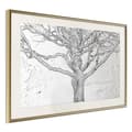 Miniatyrbild 8 av 11: Inramad Poster / Tavla - Tangled Branches