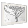 Miniatyrbild 11 av 11: Inramad Poster / Tavla - Tangled Branches