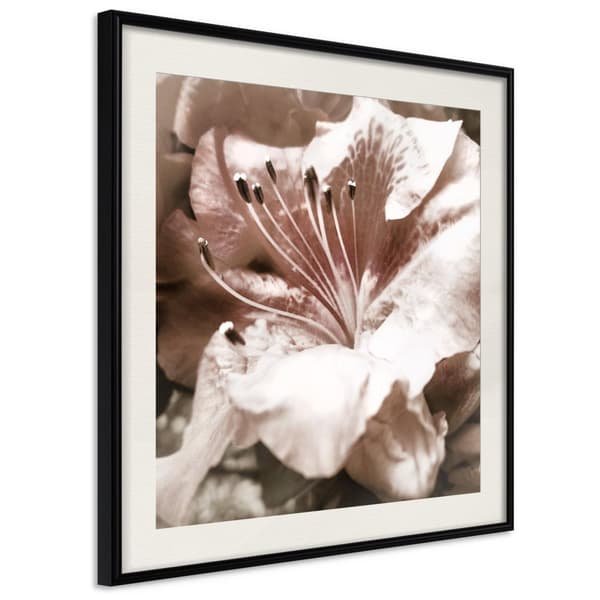 Inramad Poster / Tavla - Blissful Rest Svart ram med passepartout 30x30