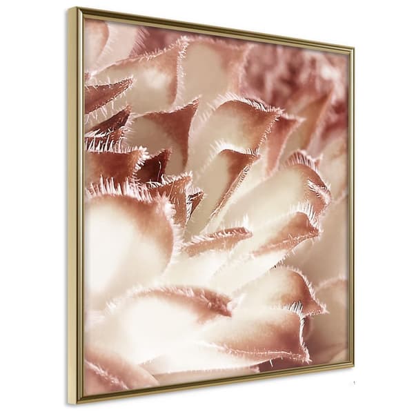 Inramad Poster / Tavla - Floral Calyx