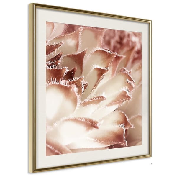 Inramad Poster / Tavla - Floral Calyx
