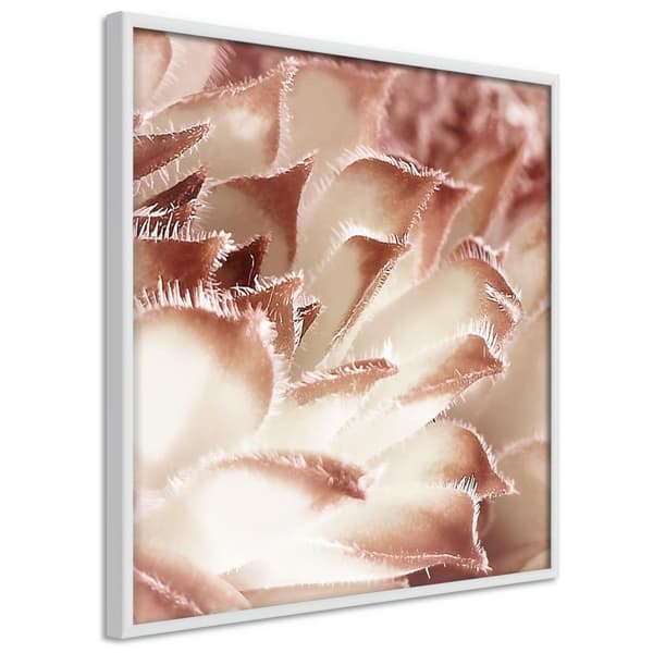 Inramad Poster / Tavla - Floral Calyx