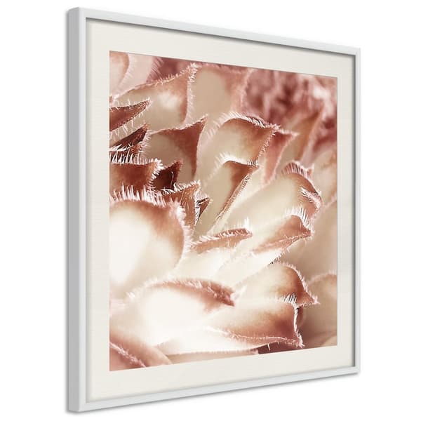 Inramad Poster / Tavla - Floral Calyx