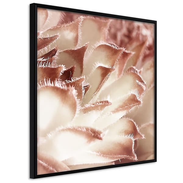 Inramad Poster / Tavla - Floral Calyx Svart ram 20x20