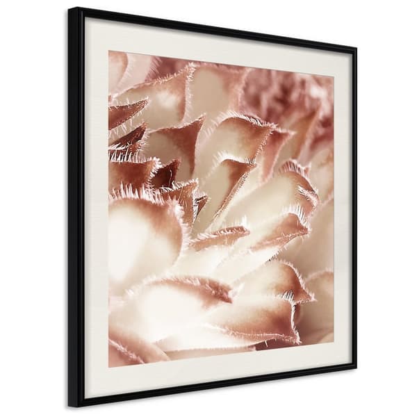 Inramad Poster / Tavla - Floral Calyx
