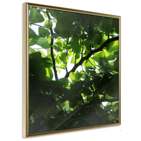 Inramad Poster / Tavla - Under Cover of Leaves