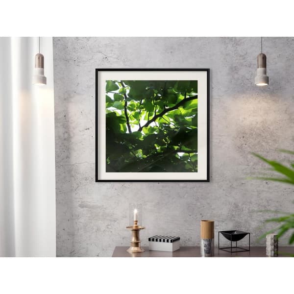 Inramad Poster / Tavla - Under Cover of Leaves