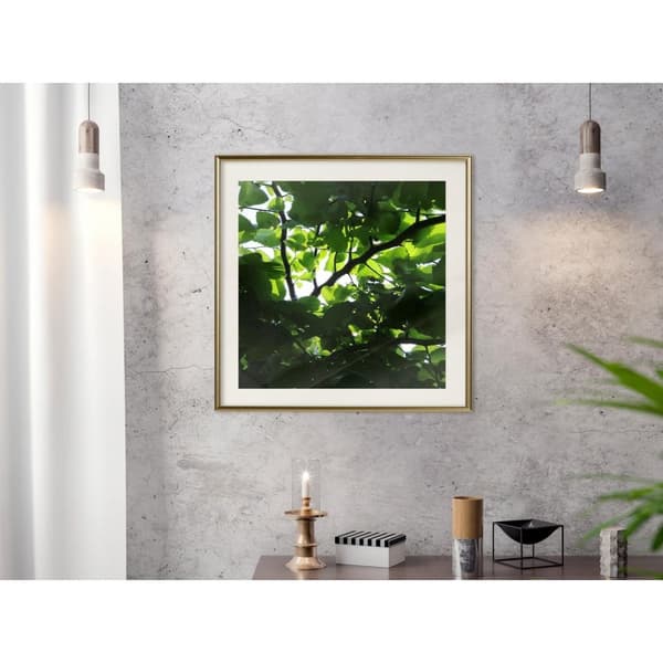 Inramad Poster / Tavla - Under Cover of Leaves