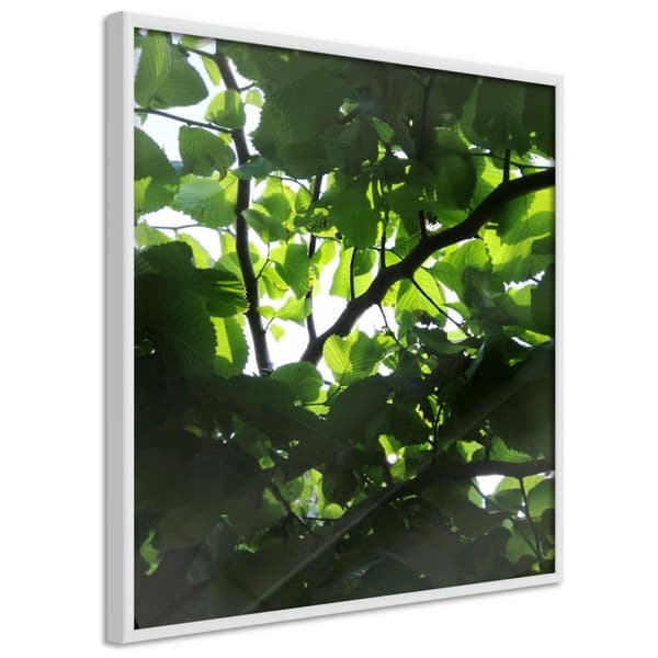Inramad Poster / Tavla - Under Cover of Leaves