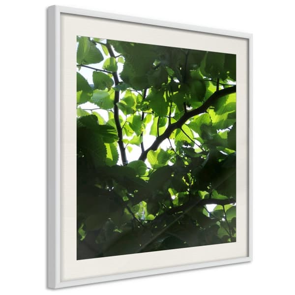 Inramad Poster / Tavla - Under Cover of Leaves