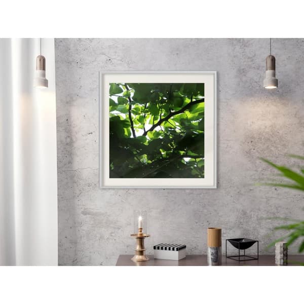 Inramad Poster / Tavla - Under Cover of Leaves