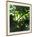 Miniatyrbild 1 av 11: Inramad Poster / Tavla - Under Cover of Leaves