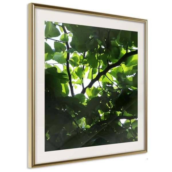 Inramad Poster / Tavla - Under Cover of Leaves Guldram med passepartout 30x30