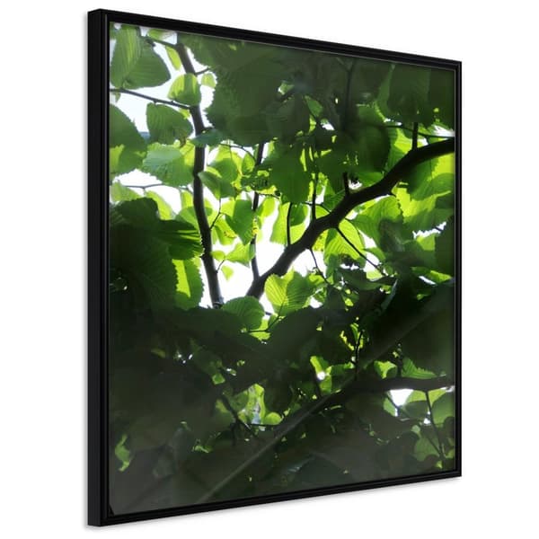 Inramad Poster / Tavla - Under Cover of Leaves