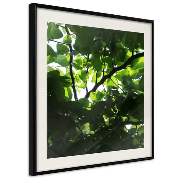 Inramad Poster / Tavla - Under Cover of Leaves