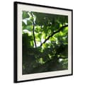 Miniatyrbild 1 av 11: Inramad Poster / Tavla - Under Cover of Leaves