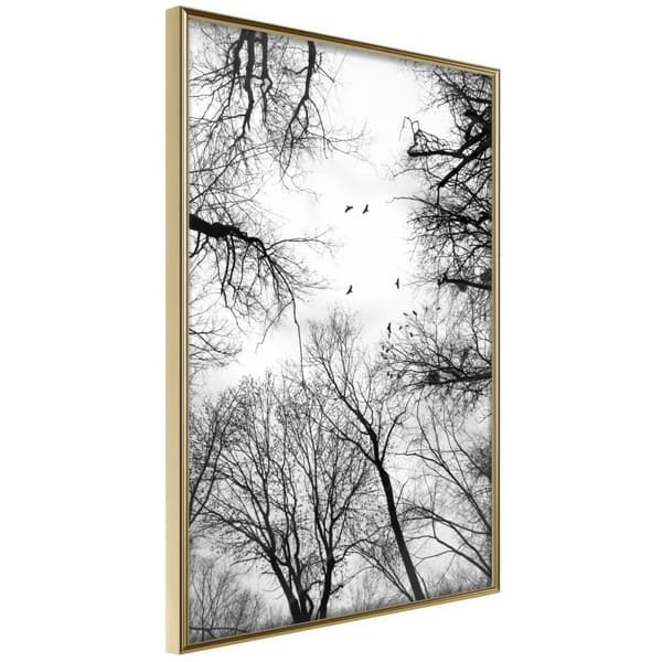 Inramad Poster / Tavla - Treetops