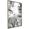 Miniatyrbild 1 av 11: Inramad Poster / Tavla - Treetops