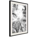 Miniatyrbild 4 av 11: Inramad Poster / Tavla - Treetops