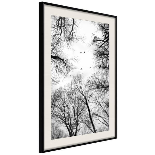 Inramad Poster / Tavla - Treetops