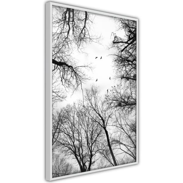 Inramad Poster / Tavla - Treetops