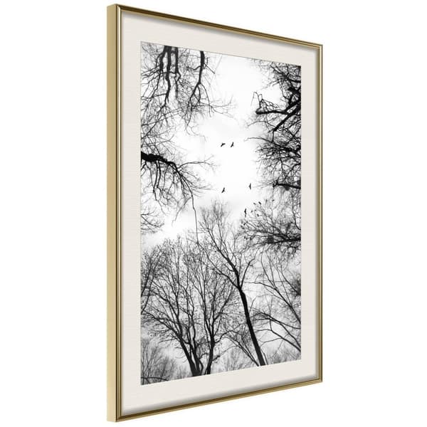 Inramad Poster / Tavla - Treetops