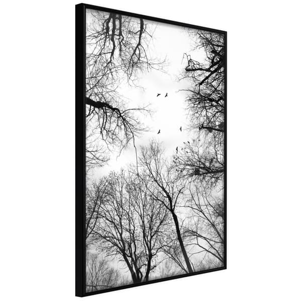 Inramad Poster / Tavla - Treetops