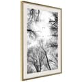 Miniatyrbild 9 av 11: Inramad Poster / Tavla - Treetops