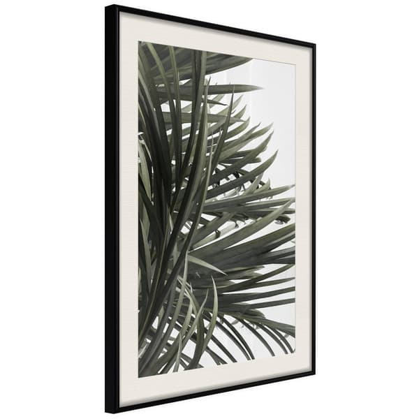 Inramad Poster / Tavla - Little Tropics