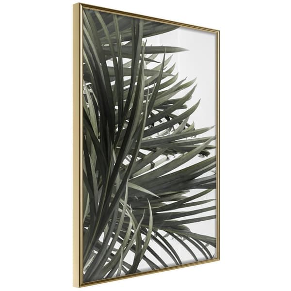 Inramad Poster / Tavla - Little Tropics Guldram 40x60