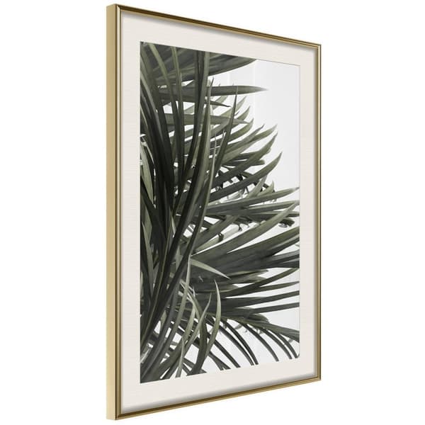 Inramad Poster / Tavla - Little Tropics