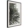 Miniatyrbild 5 av 11: Inramad Poster / Tavla - Little Tropics