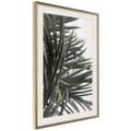 Miniatyrbild 10 av 11: Inramad Poster / Tavla - Little Tropics