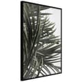 Miniatyrbild 1 av 11: Inramad Poster / Tavla - Little Tropics