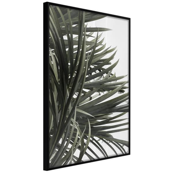 Inramad Poster / Tavla - Little Tropics