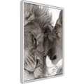 Miniatyrbild 9 av 11: Inramad Poster / Tavla - Predatory Couple