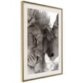 Miniatyrbild 10 av 11: Inramad Poster / Tavla - Predatory Couple