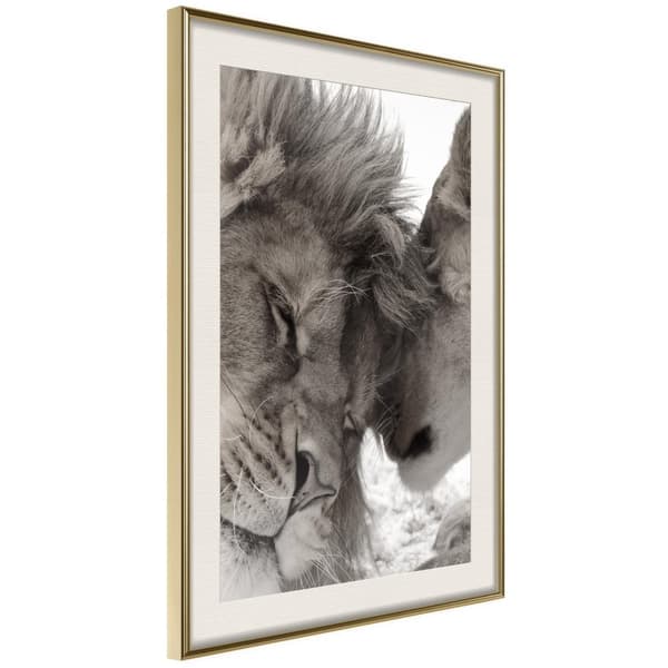 Inramad Poster / Tavla - Predatory Couple