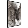Miniatyrbild 2 av 11: Inramad Poster / Tavla - Predatory Couple