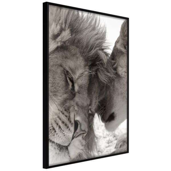 Inramad Poster / Tavla - Predatory Couple
