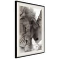 Miniatyrbild 1 av 11: Inramad Poster / Tavla - Predatory Couple