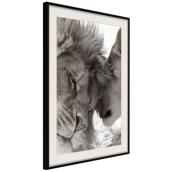 Inramad Poster / Tavla - Predatory Couple Svart ram med passepartout 30x45