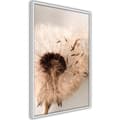 Miniatyrbild 8 av 11: Inramad Poster / Tavla - Piece of the Summer